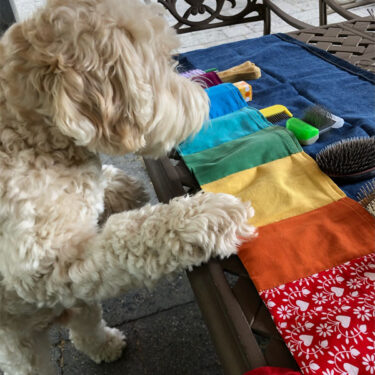 InvestoChild_Doezel_borstels InvestoChild_Doezel_borstels