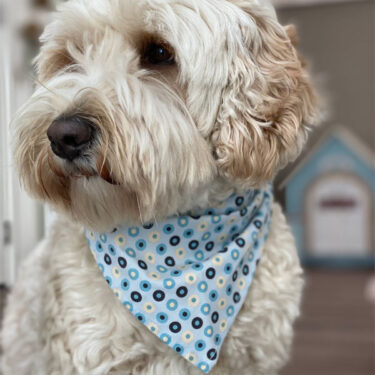 InvestoChild_Doezel_praktijk InvestoChild_Doezel_praktijk