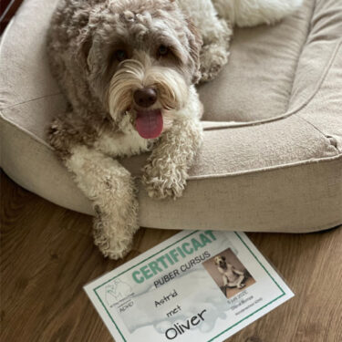 InvestoChild_Oliver_certificaat InvestoChild_Oliver_certificaat