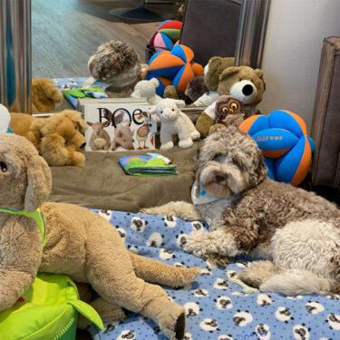 InvestoChild_Oliver_praktijk InvestoChild_Oliver_praktijk